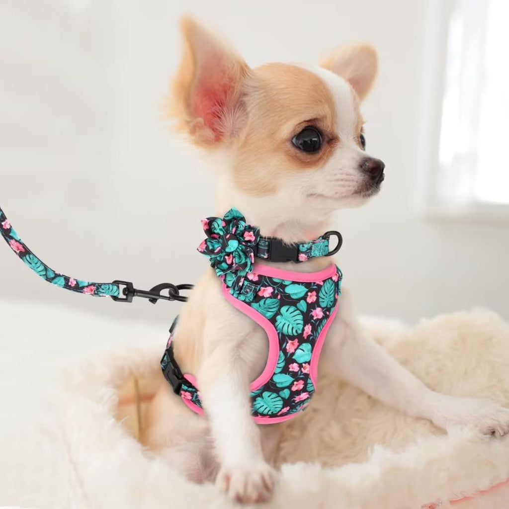 Beirui Cute Dog Collars,Harnesses,Leashes Set, Floral Pattern, Orange,S
