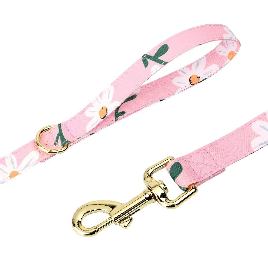 Beirui Cute Dog Collars,Harnesses,Leashes Set, Floral Pattern, Orange,S