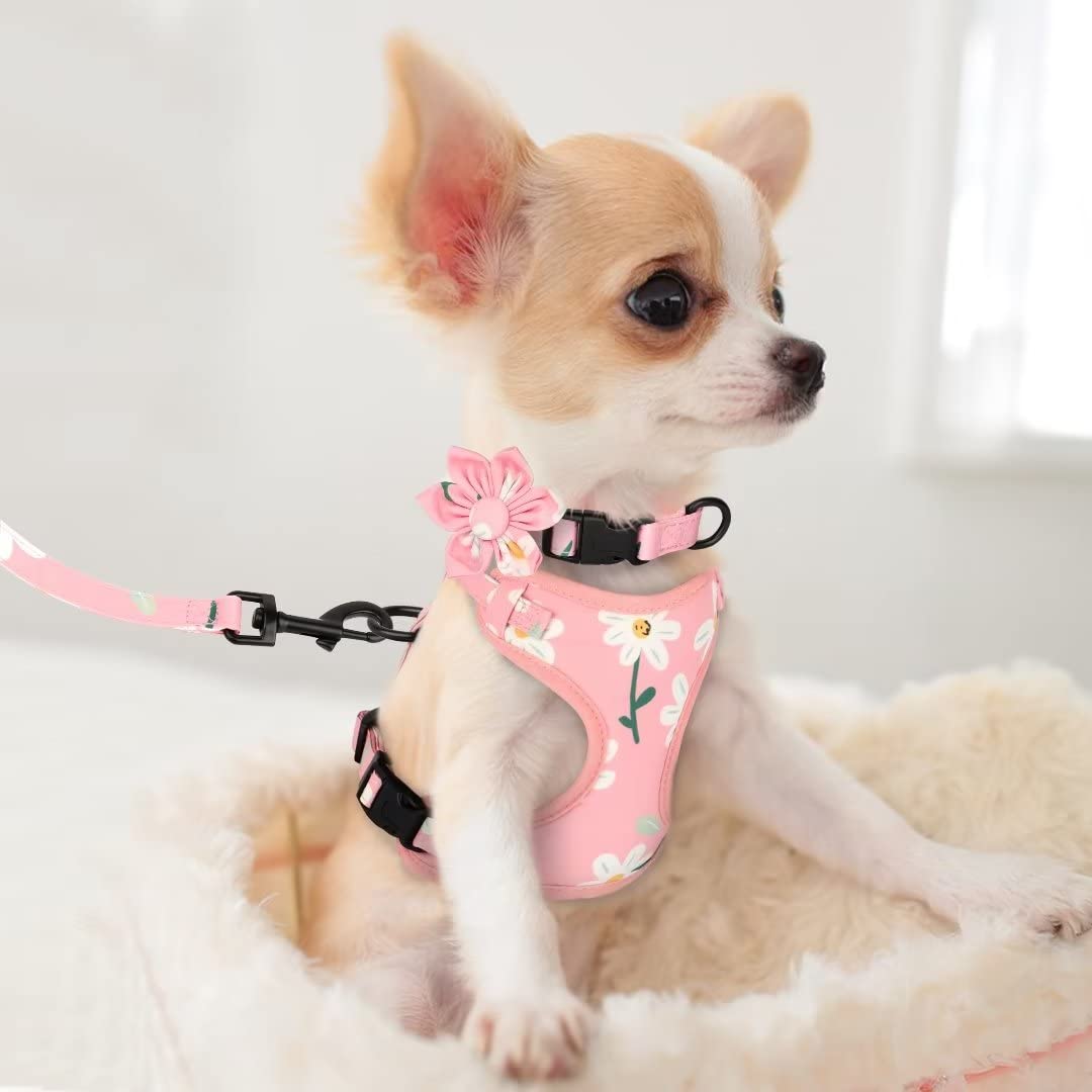 Beirui Cute Dog Collars,Harnesses,Leashes Set, Floral Pattern, Orange,S