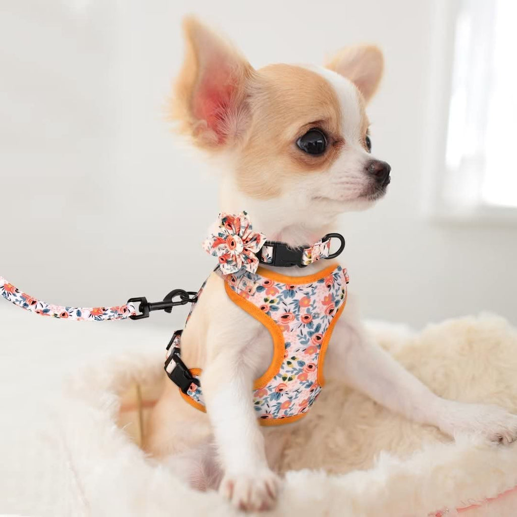 Beirui Cute Dog Collars,Harnesses,Leashes Set, Floral Pattern, Orange,S