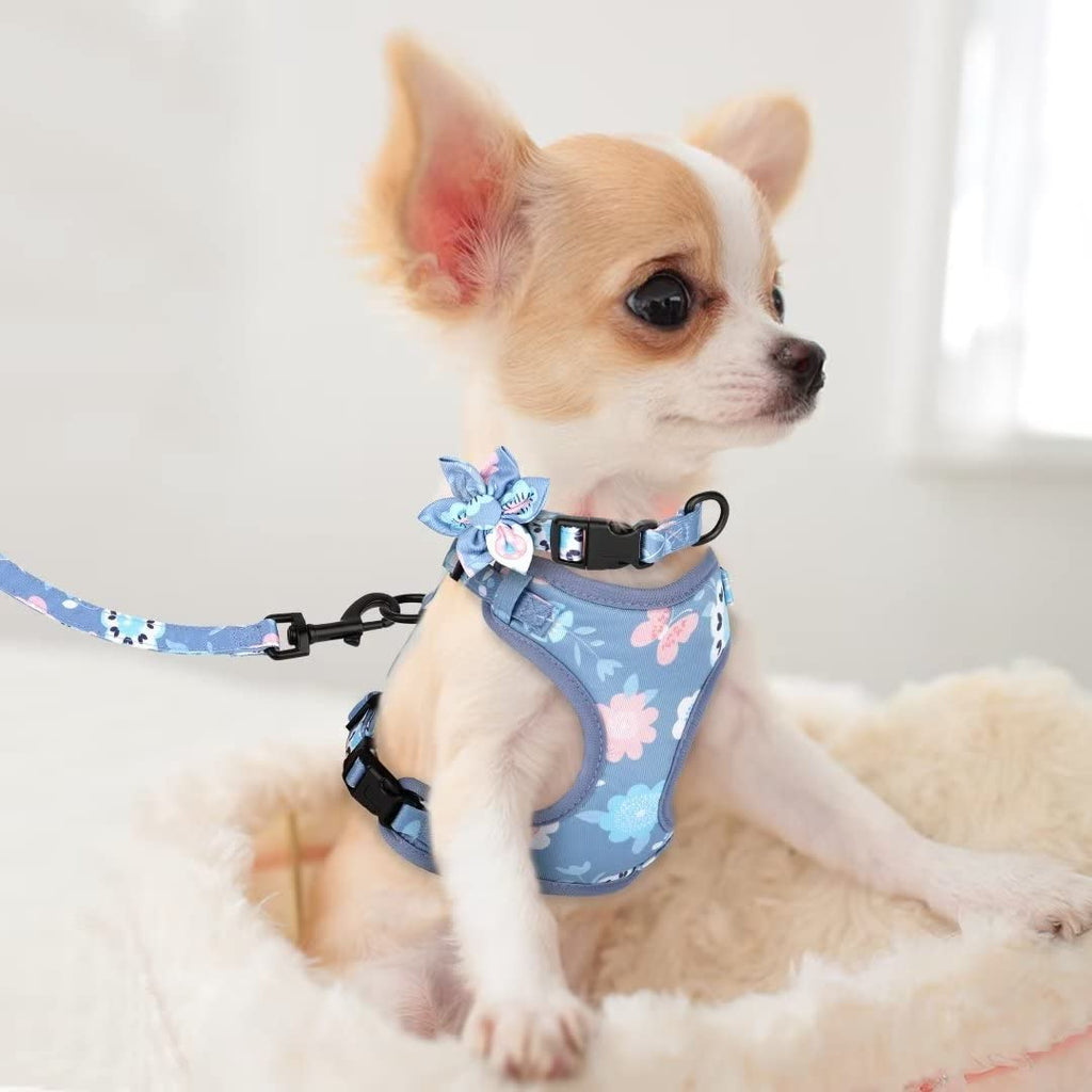 Beirui Cute Dog Collars,Harnesses,Leashes Set, Floral Pattern, Orange,S
