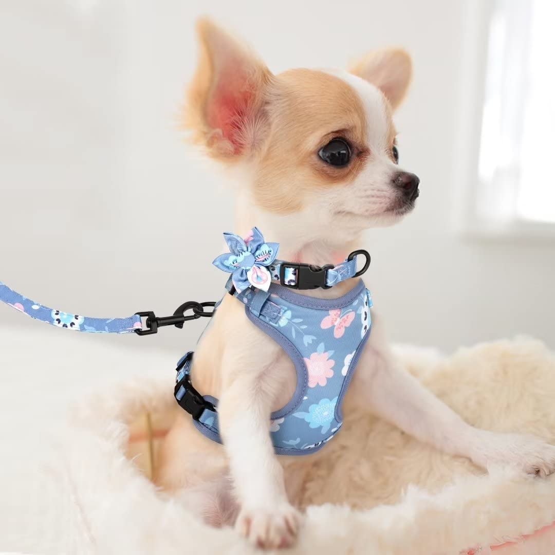 Beirui Cute Dog Collars,Harnesses,Leashes Set, Floral Pattern, Orange,S