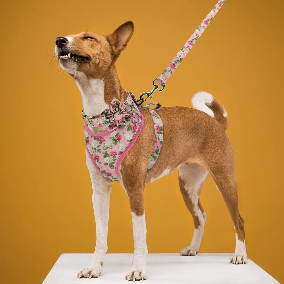 Beirui Cute Dog Collars,Harnesses,Leashes Set, Floral Pattern, Orange,S