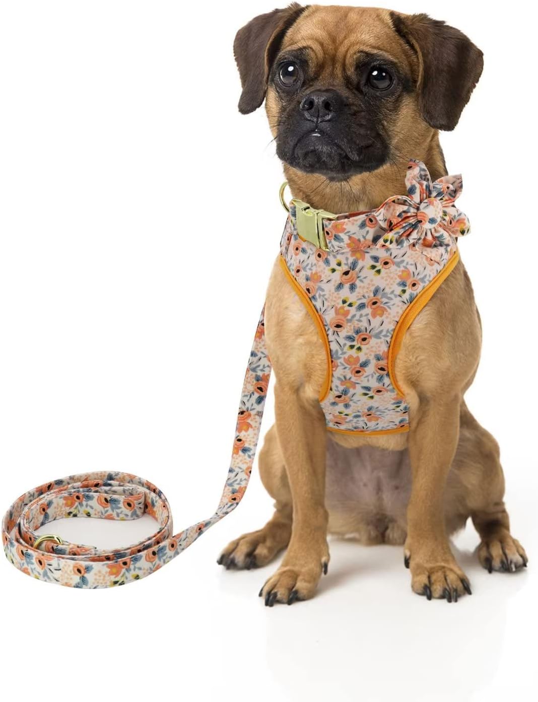 Beirui Cute Dog Collars,Harnesses,Leashes Set, Floral Pattern, Orange,S