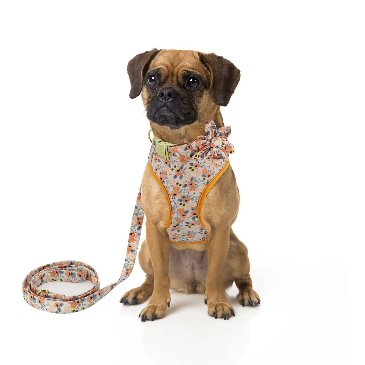 Beirui Cute Dog Collars,Harnesses,Leashes Set, Floral Pattern, Orange,S