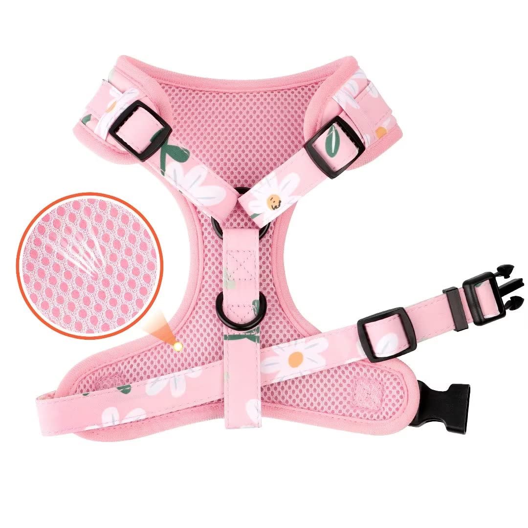 Beirui Cute Dog Collars,Harnesses,Leashes Set, Floral Pattern, Orange,S