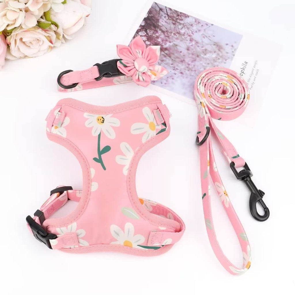 Beirui Cute Dog Collars,Harnesses,Leashes Set, Floral Pattern, Orange,S