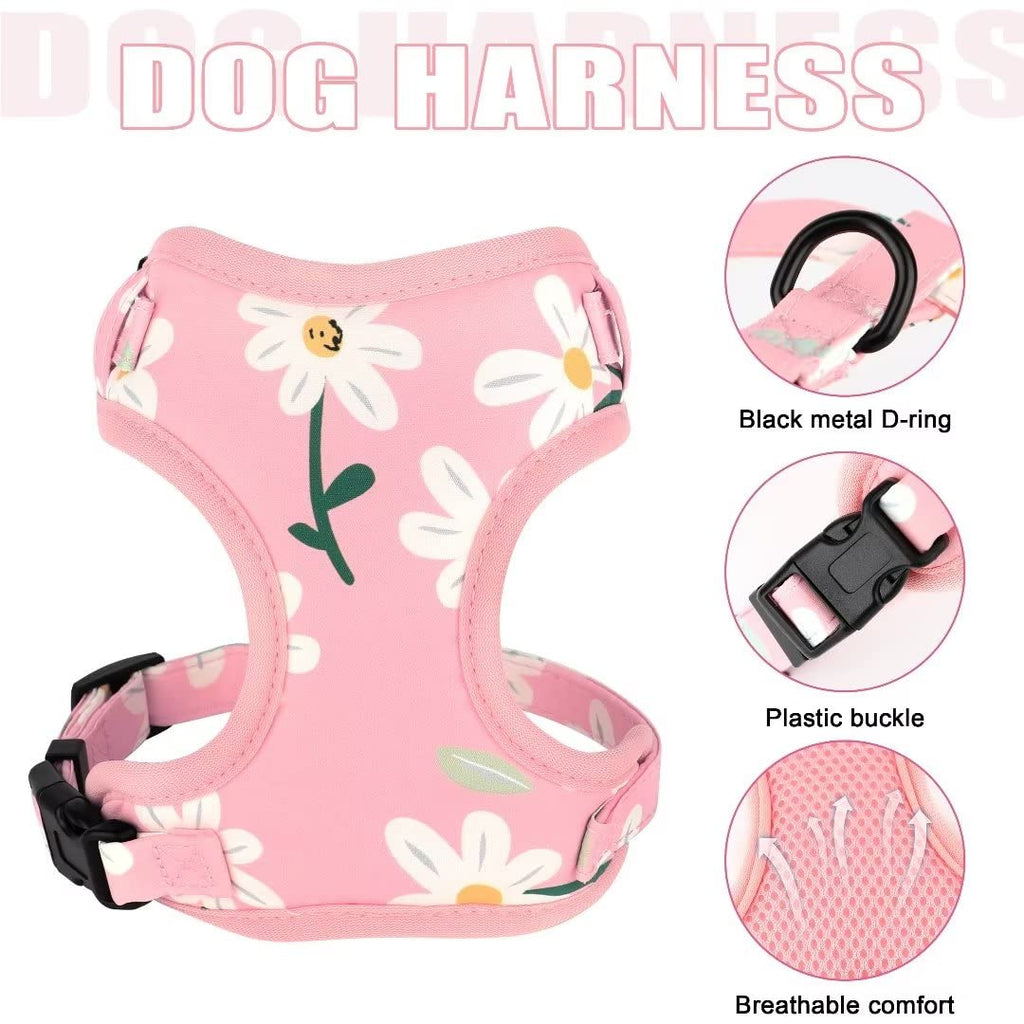 Beirui Cute Dog Collars,Harnesses,Leashes Set, Floral Pattern, Orange,S