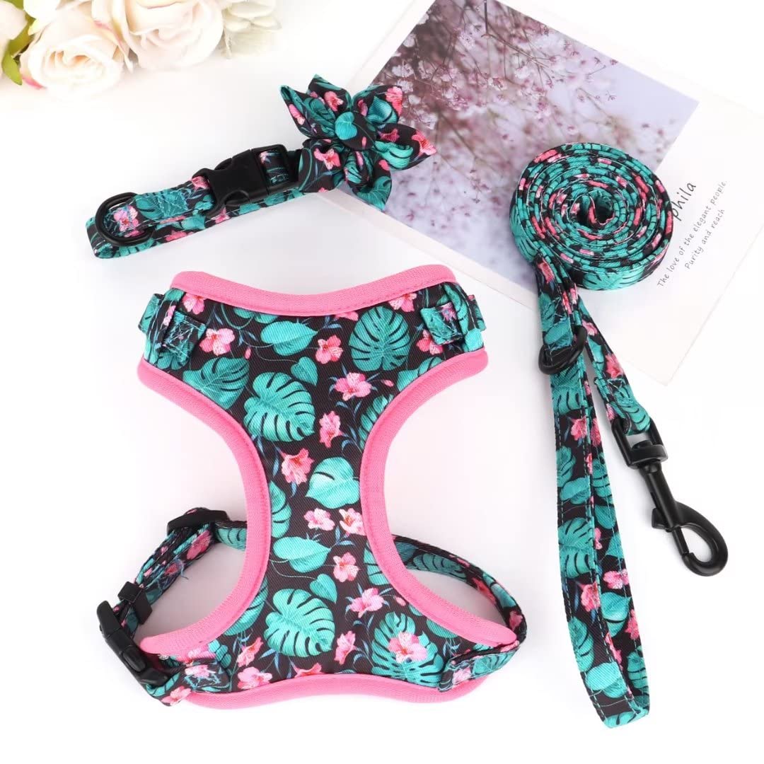 Beirui Cute Dog Collars,Harnesses,Leashes Set, Floral Pattern, Orange,S