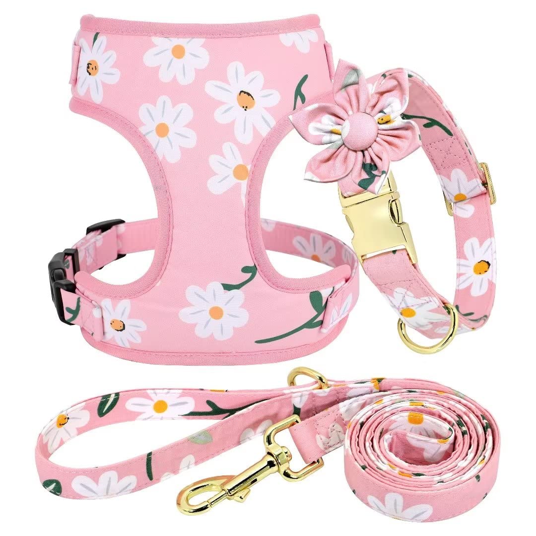 Beirui Cute Dog Collars,Harnesses,Leashes Set, Floral Pattern, Orange,S