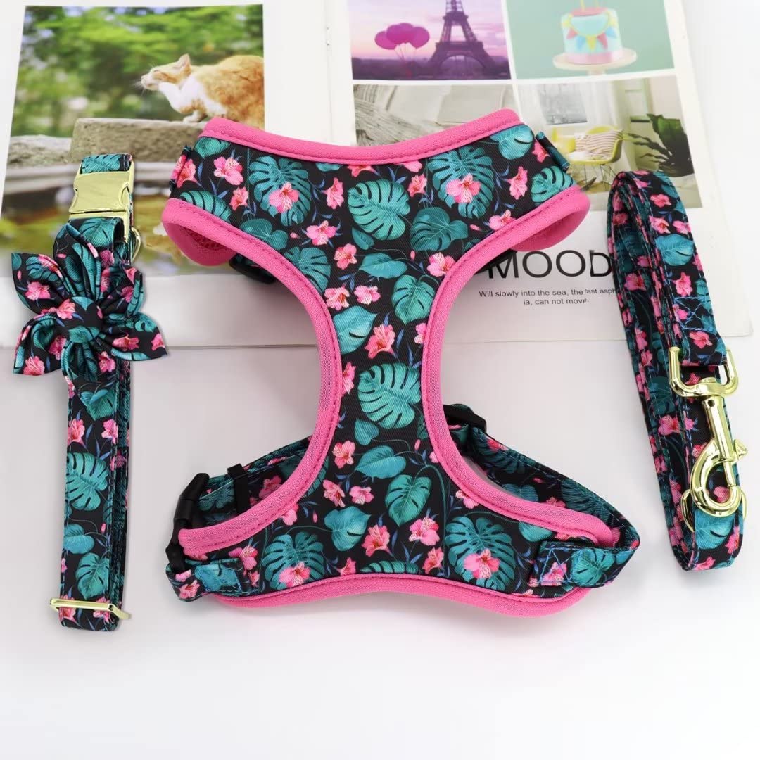 Beirui Cute Dog Collars,Harnesses,Leashes Set, Floral Pattern, Orange,S