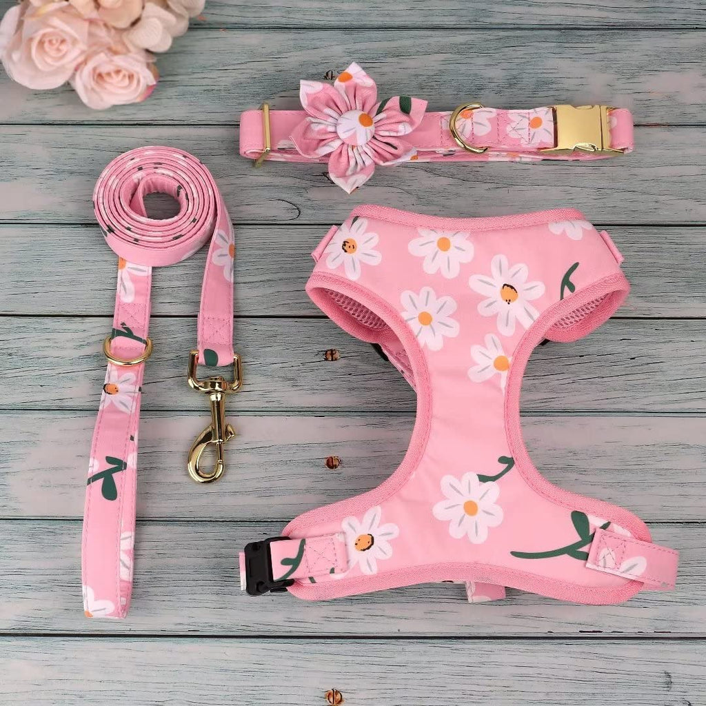 Beirui Cute Dog Collars,Harnesses,Leashes Set, Floral Pattern, Orange,S