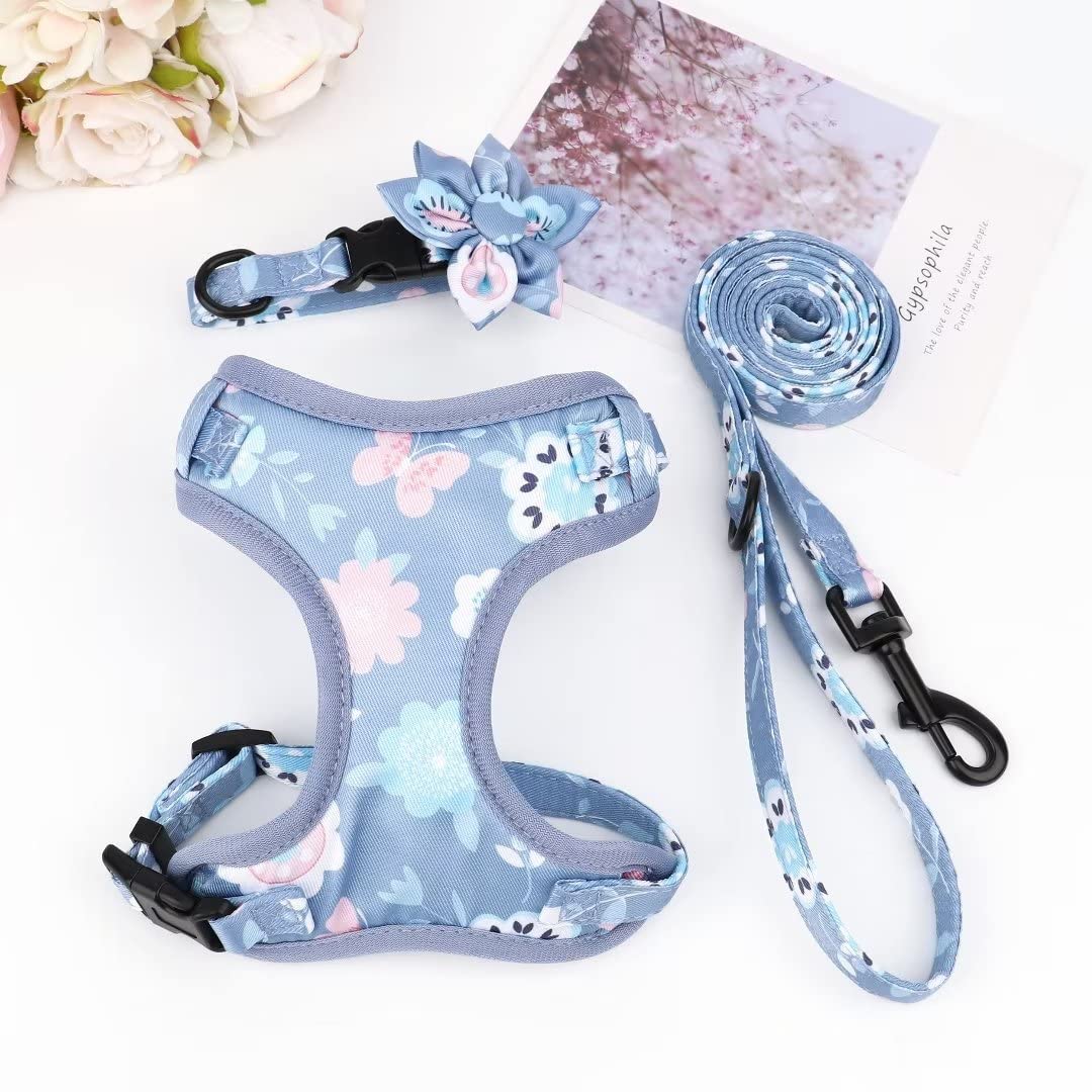 Beirui Cute Dog Collars,Harnesses,Leashes Set, Floral Pattern, Orange,S