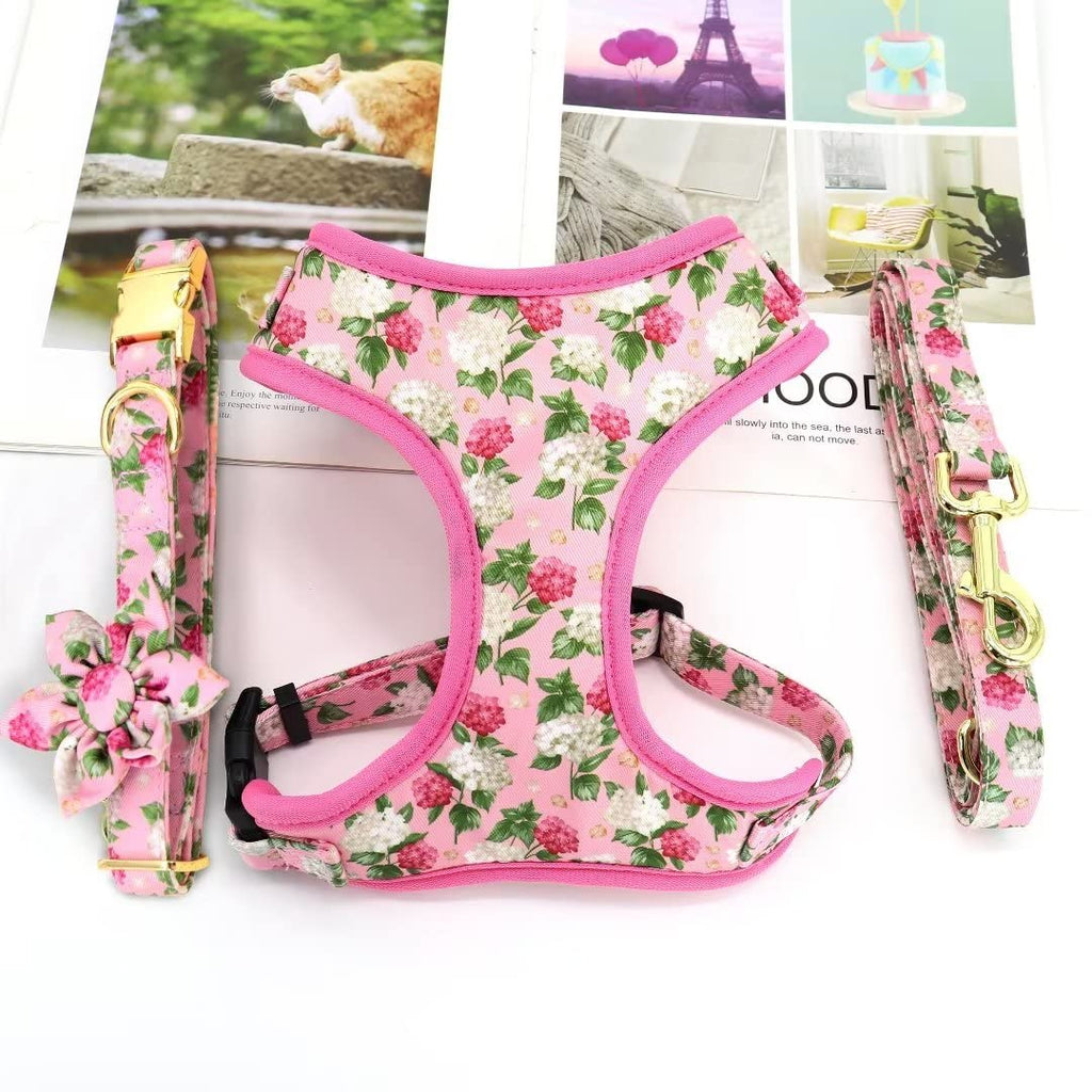 Beirui Cute Dog Collars,Harnesses,Leashes Set, Floral Pattern, Orange,S