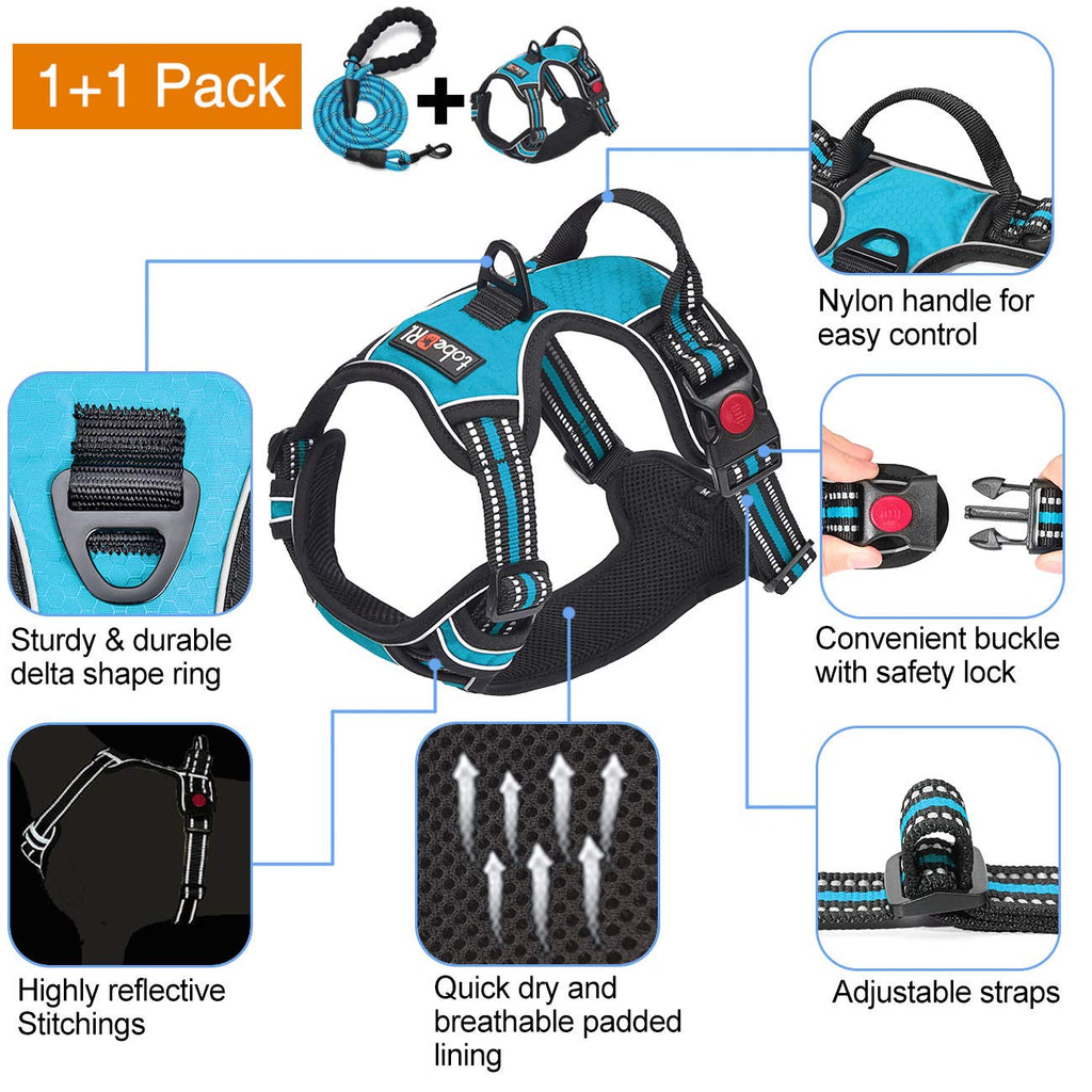 tobeDRI No Pull Dog Harness Adjustable Reflective Oxford Easy Control Medium Large Dog Harness with A Free Heavy Duty 5ft Dog Leash, Orange, L