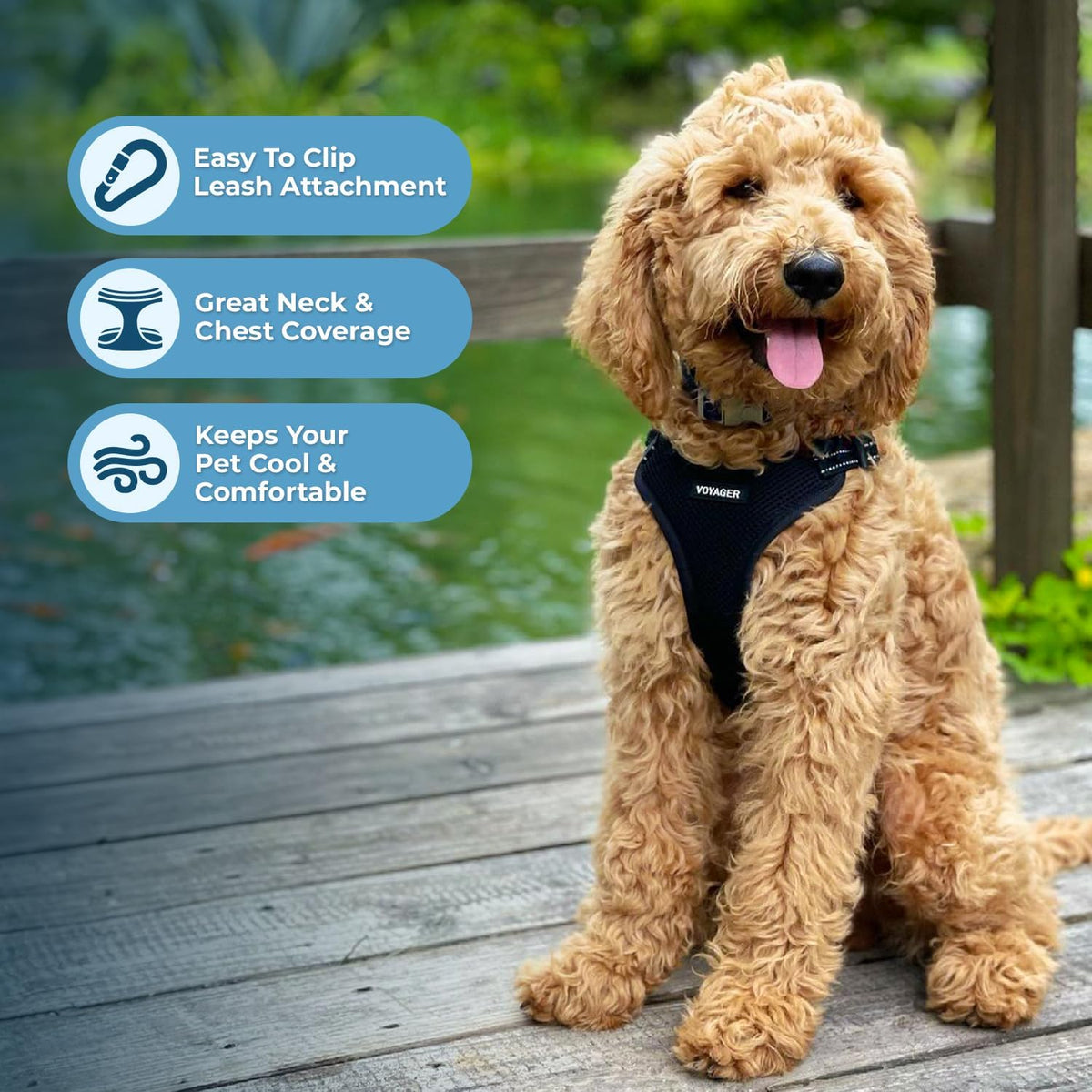 Best Pet Supplies Voyager Mesh Dog Breathable Harness Reflective Stitching, All Weather Adjustable for Walking Training, or Running - Heavy Duty & Durable, Harness Leash Set (Black), XL