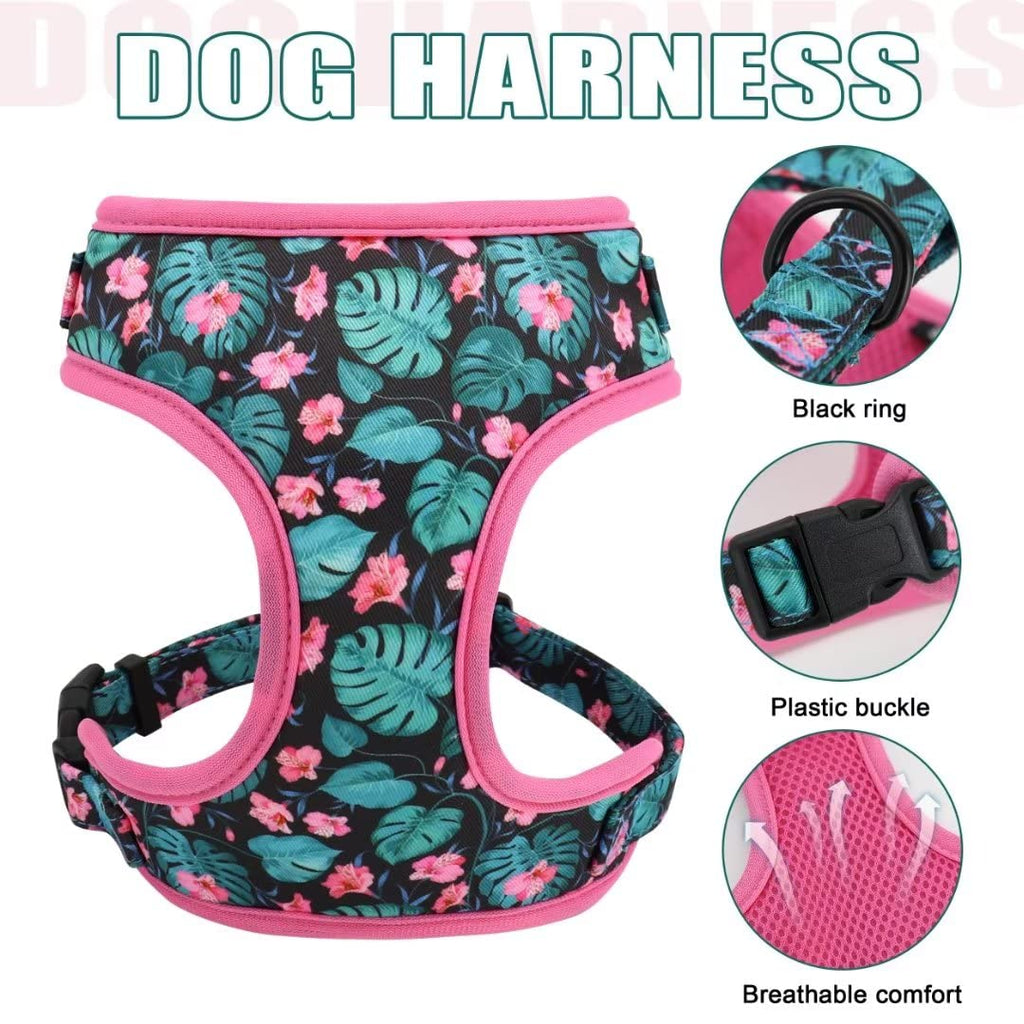 Beirui Cute Dog Collars,Harnesses,Leashes Set, Floral Pattern, Orange,S
