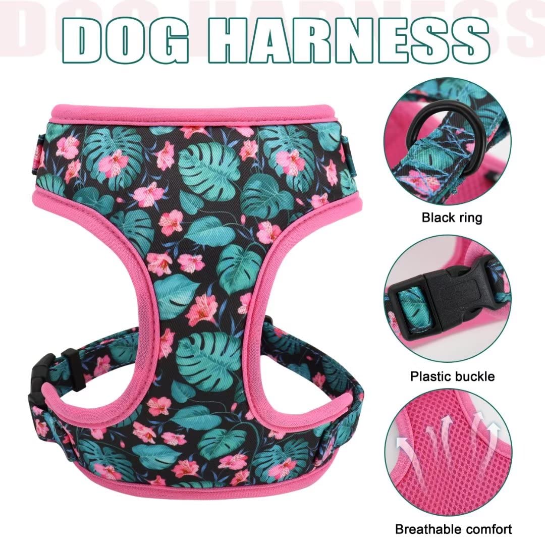 Beirui Cute Dog Collars,Harnesses,Leashes Set, Floral Pattern, Orange,S