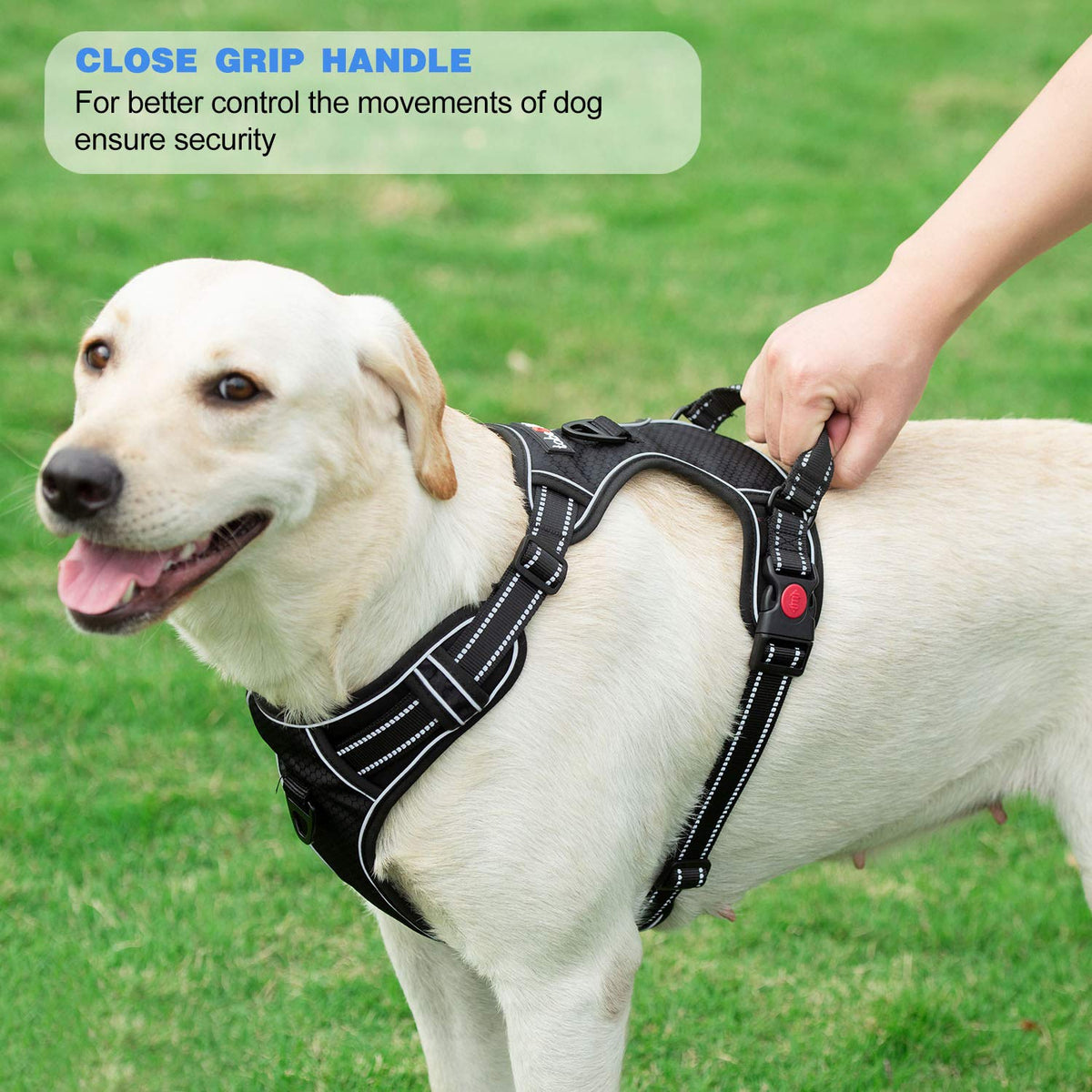 tobeDRI No Pull Dog Harness Adjustable Reflective Oxford Easy Control Medium Large Dog Harness with A Free Heavy Duty 5ft Dog Leash, Orange, L