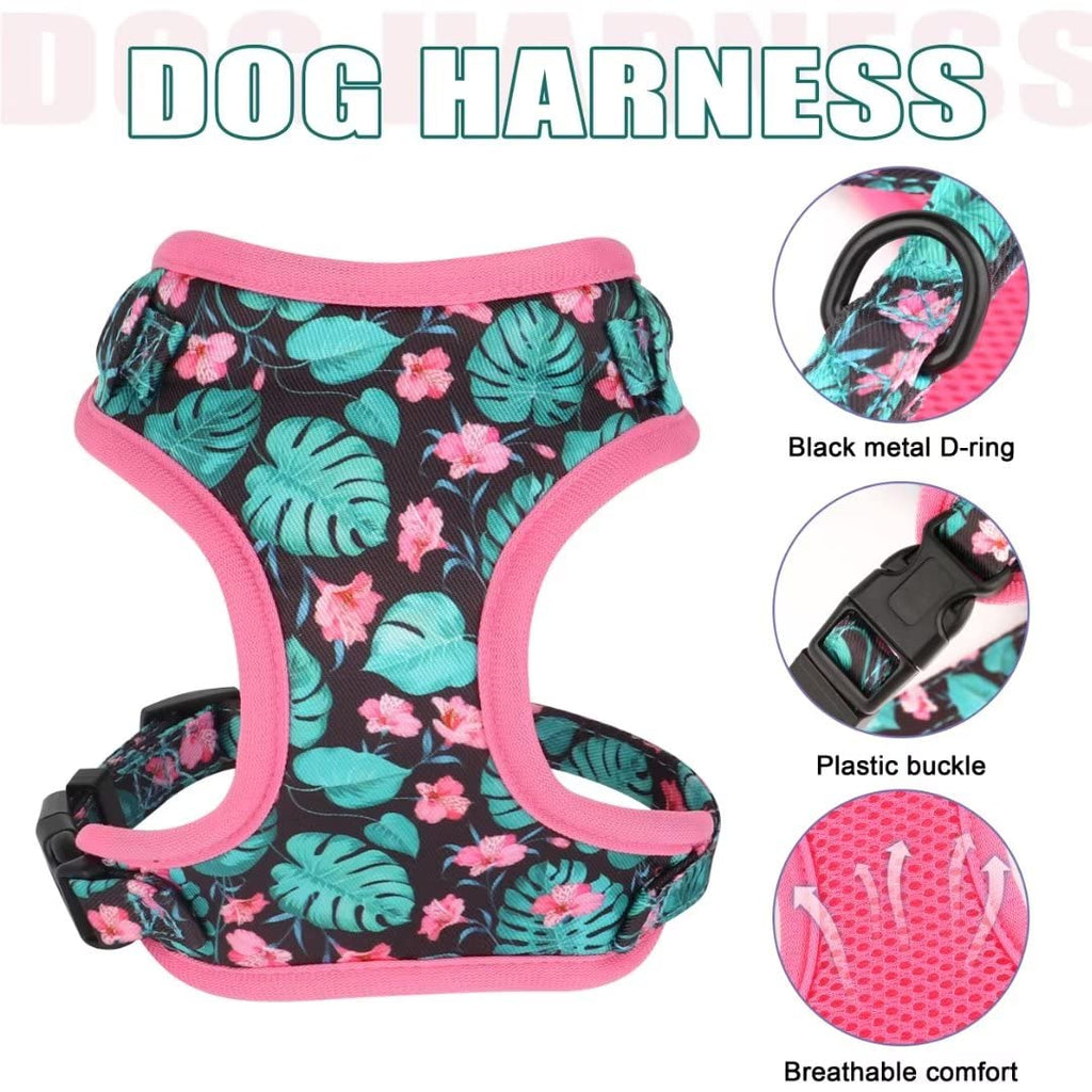 Beirui Cute Dog Collars,Harnesses,Leashes Set, Floral Pattern, Orange,S
