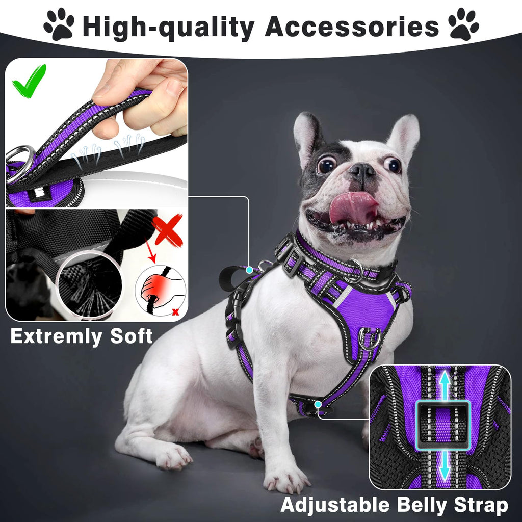 WINSEE Pet Harness Collar and Leash Set, All-in-one Reflective Dog Harness No Pull with Adjustable Buckles for Puppies, Small, Medium, Large, and Extra-Large Dogs (Large, Purple)