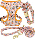 Beirui Cute Dog Collars,Harnesses,Leashes Set, Floral Pattern, Orange,S
