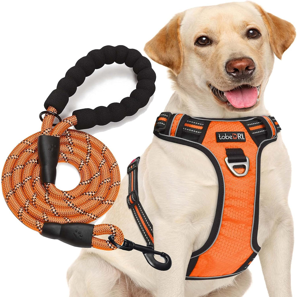 tobeDRI No Pull Dog Harness Adjustable Reflective Oxford Easy Control Medium Large Dog Harness with A Free Heavy Duty 5ft Dog Leash, Orange, L
