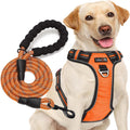 tobeDRI No Pull Dog Harness Adjustable Reflective Oxford Easy Control Medium Large Dog Harness with A Free Heavy Duty 5ft Dog Leash, Orange, L