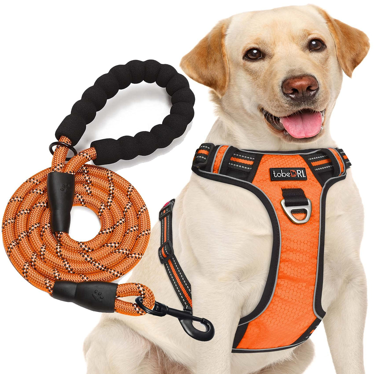tobeDRI No Pull Dog Harness Adjustable Reflective Oxford Easy Control Medium Large Dog Harness with A Free Heavy Duty 5ft Dog Leash, Orange, L