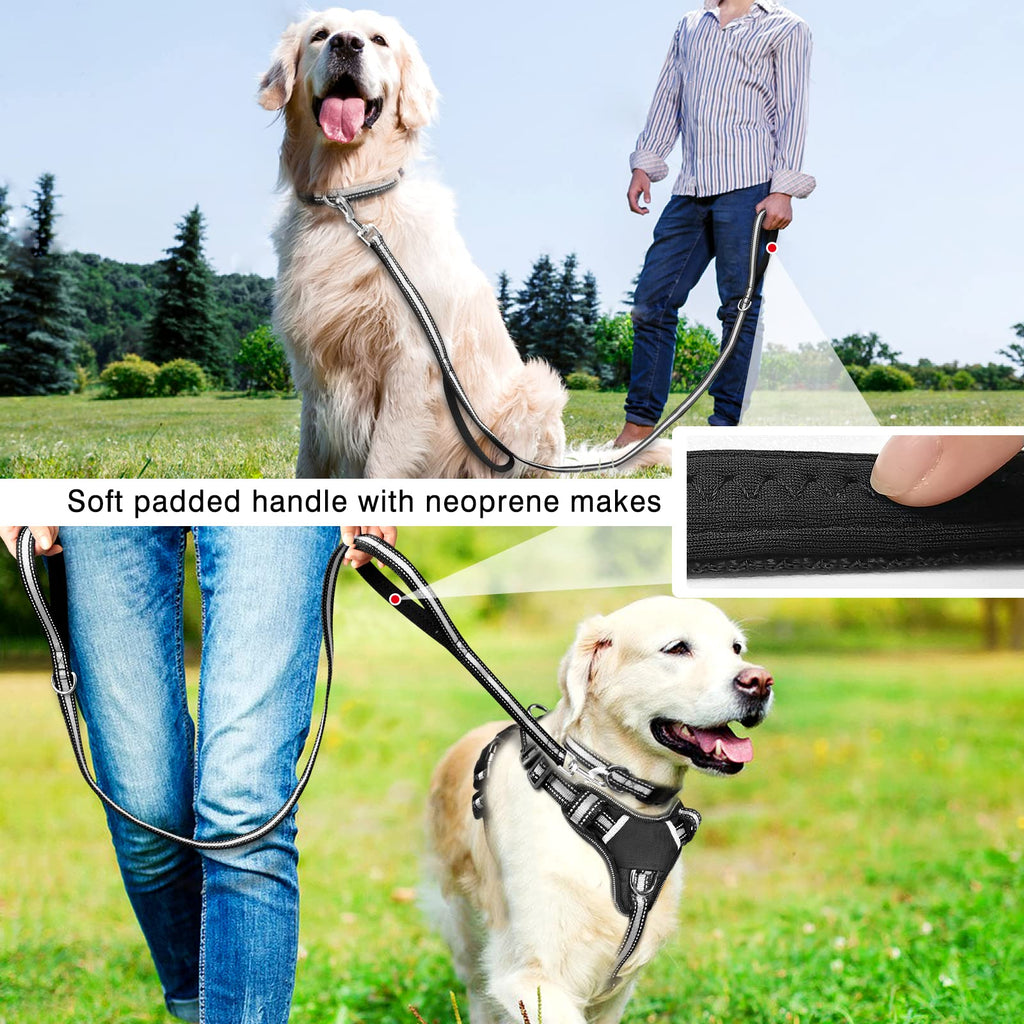 WINSEE Pet Harness Collar and Leash Set, All-in-one Reflective Dog Harness No Pull with Adjustable Buckles for Puppies, Small, Medium, Large, and Extra-Large Dogs (Large, Purple)