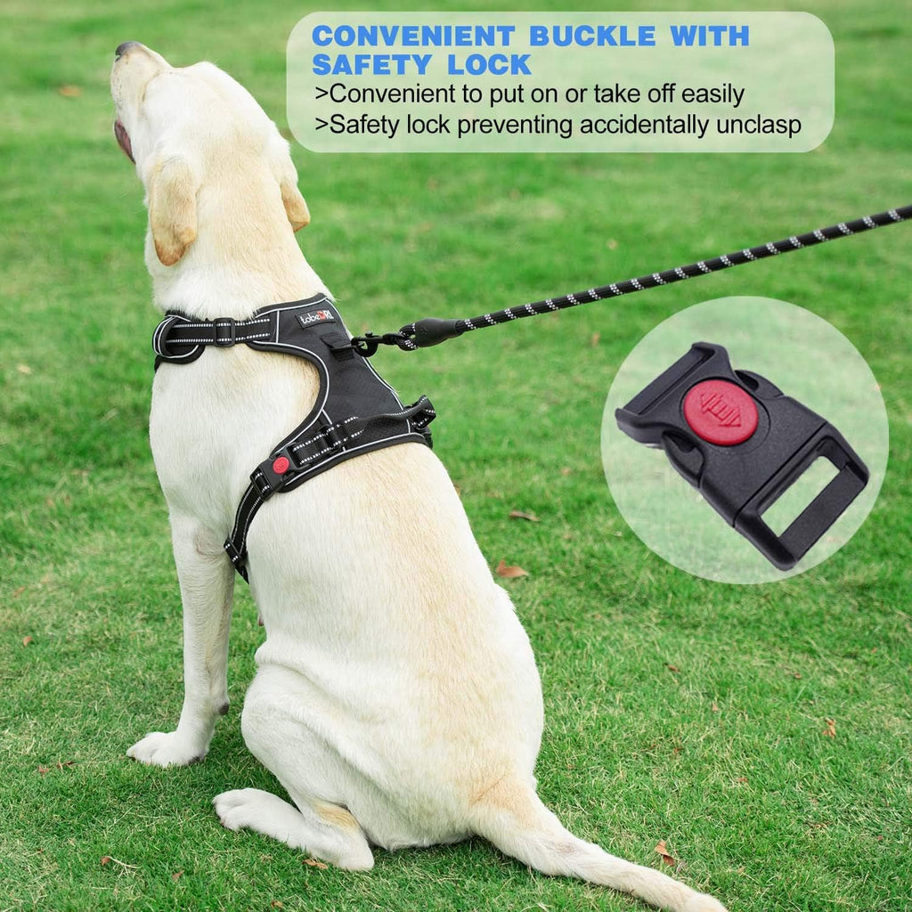 tobeDRI No Pull Dog Harness Adjustable Reflective Oxford Easy Control Medium Large Dog Harness with A Free Heavy Duty 5ft Dog Leash, Orange, L