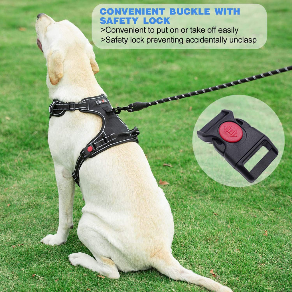 tobeDRI No Pull Dog Harness Adjustable Reflective Oxford Easy Control Medium Large Dog Harness with A Free Heavy Duty 5ft Dog Leash, Orange, L
