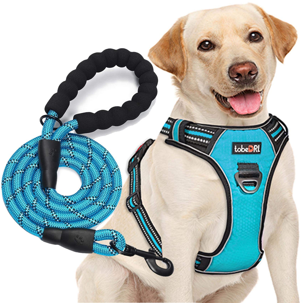 tobeDRI No Pull Dog Harness Adjustable Reflective Oxford Easy Control Medium Large Dog Harness with A Free Heavy Duty 5ft Dog Leash, Orange, L
