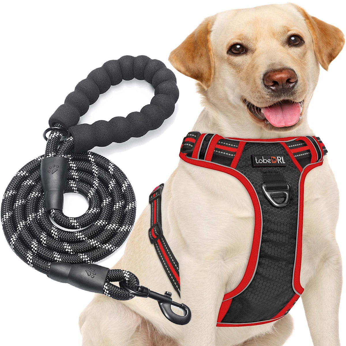 tobeDRI No Pull Dog Harness Adjustable Reflective Oxford Easy Control Medium Large Dog Harness with A Free Heavy Duty 5ft Dog Leash, Orange, L