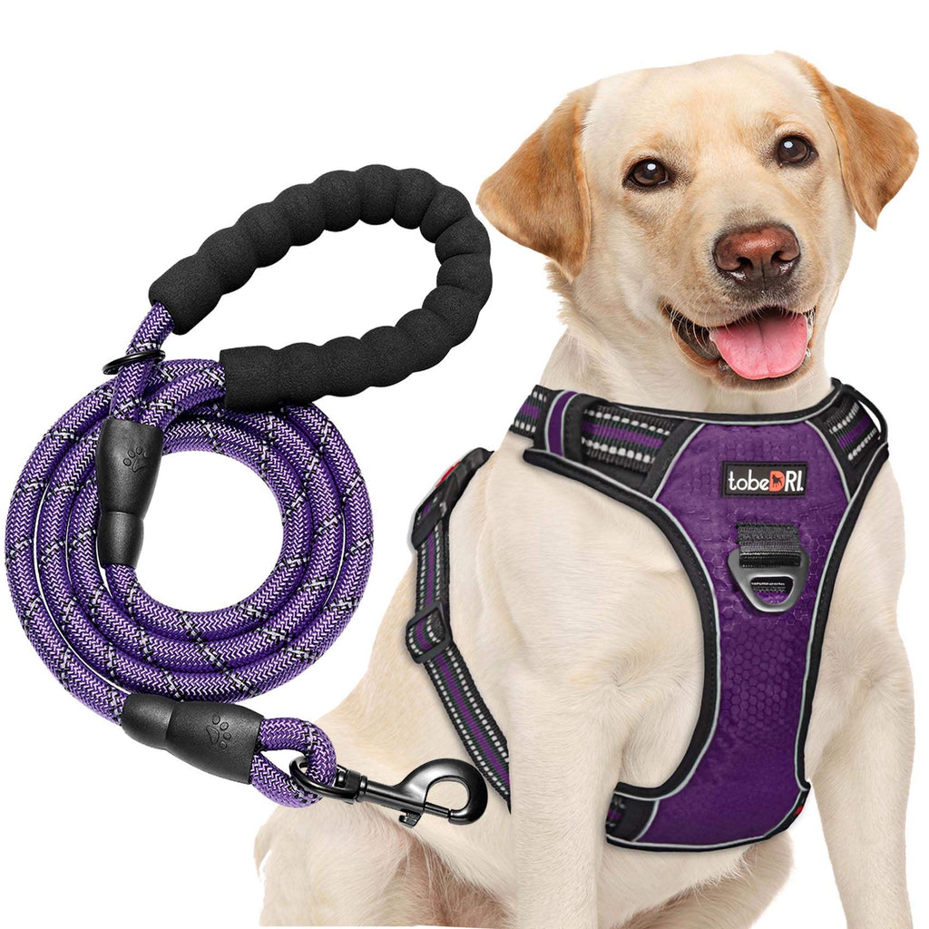 tobeDRI No Pull Dog Harness Adjustable Reflective Oxford Easy Control Medium Large Dog Harness with A Free Heavy Duty 5ft Dog Leash, Orange, L