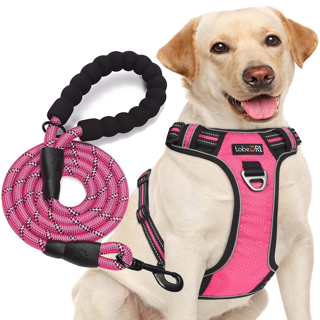 tobeDRI No Pull Dog Harness Adjustable Reflective Oxford Easy Control Medium Large Dog Harness with A Free Heavy Duty 5ft Dog Leash, Orange, L