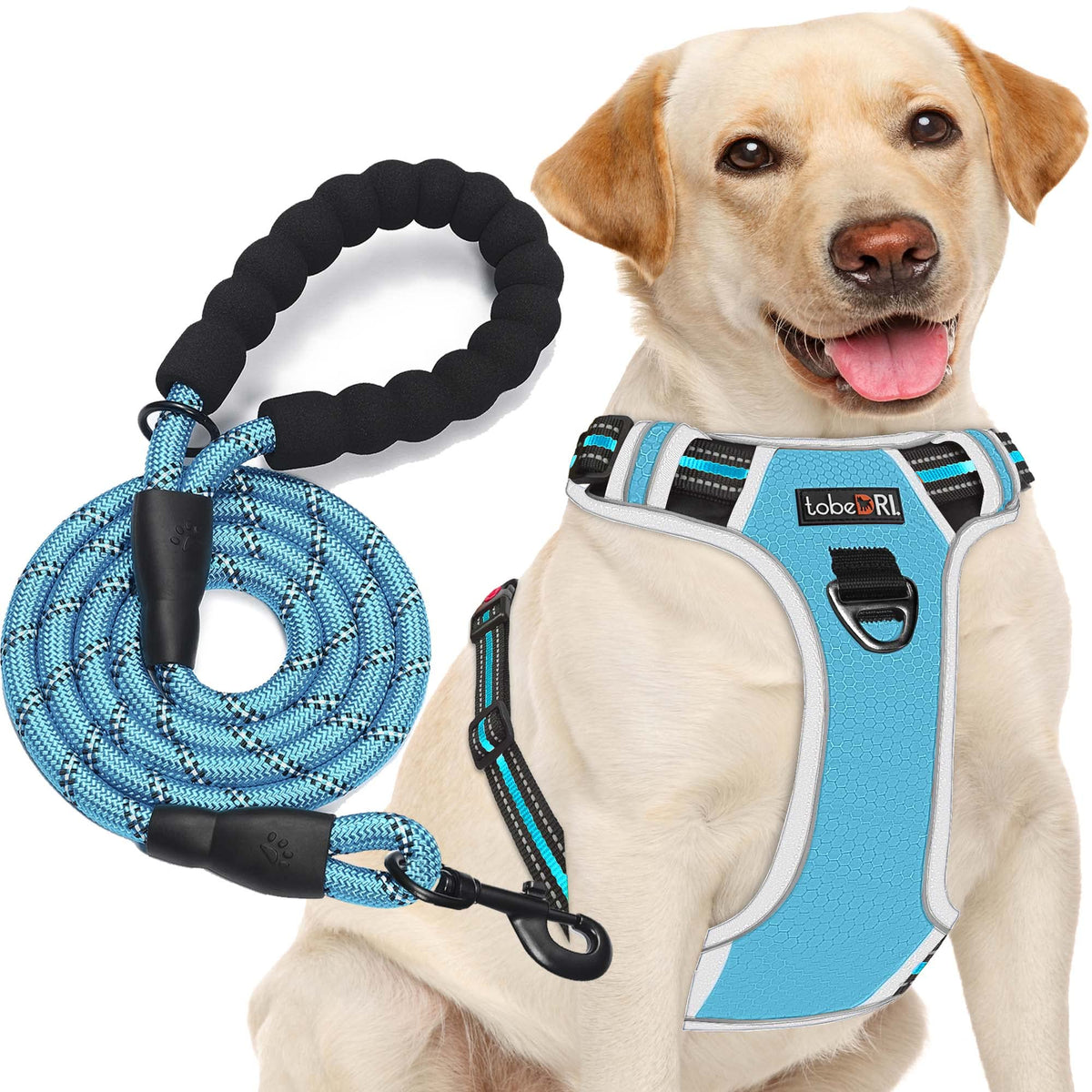 tobeDRI No Pull Dog Harness Adjustable Reflective Oxford Easy Control Medium Large Dog Harness with A Free Heavy Duty 5ft Dog Leash, Orange, L