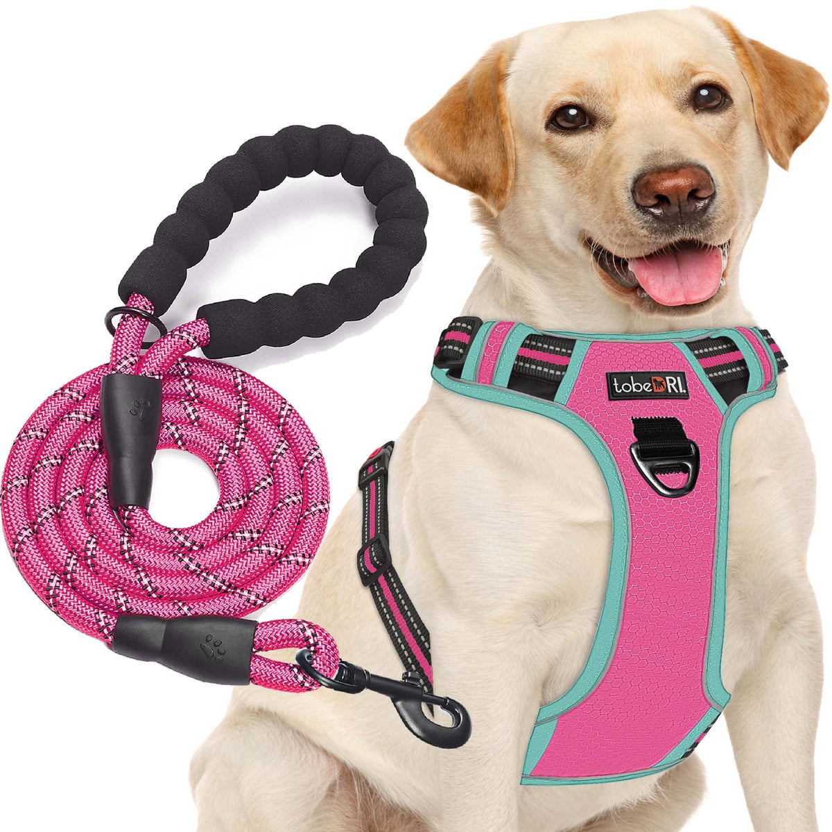 tobeDRI No Pull Dog Harness Adjustable Reflective Oxford Easy Control Medium Large Dog Harness with A Free Heavy Duty 5ft Dog Leash, Orange, L