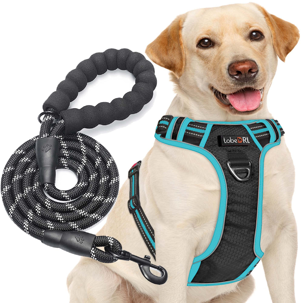 tobeDRI No Pull Dog Harness Adjustable Reflective Oxford Easy Control Medium Large Dog Harness with A Free Heavy Duty 5ft Dog Leash, Orange, L