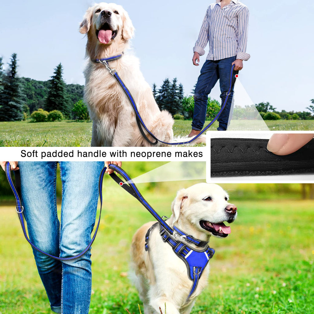 WINSEE Pet Harness Collar and Leash Set, All-in-one Reflective Dog Harness No Pull with Adjustable Buckles for Puppies, Small, Medium, Large, and Extra-Large Dogs (Large, Purple)