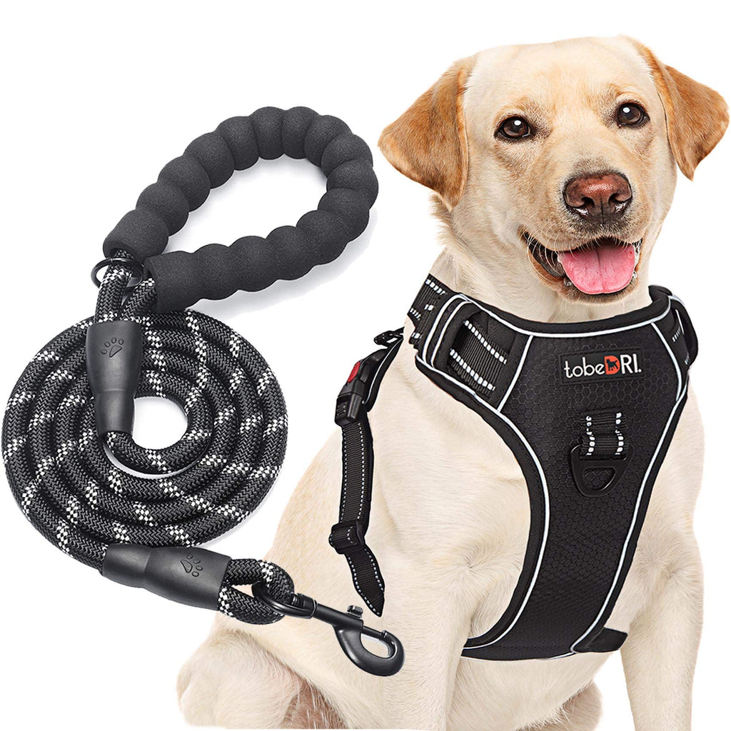 tobeDRI No Pull Dog Harness Adjustable Reflective Oxford Easy Control Medium Large Dog Harness with A Free Heavy Duty 5ft Dog Leash, Orange, L